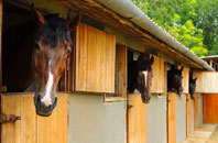 free Brindle stable construction quotes